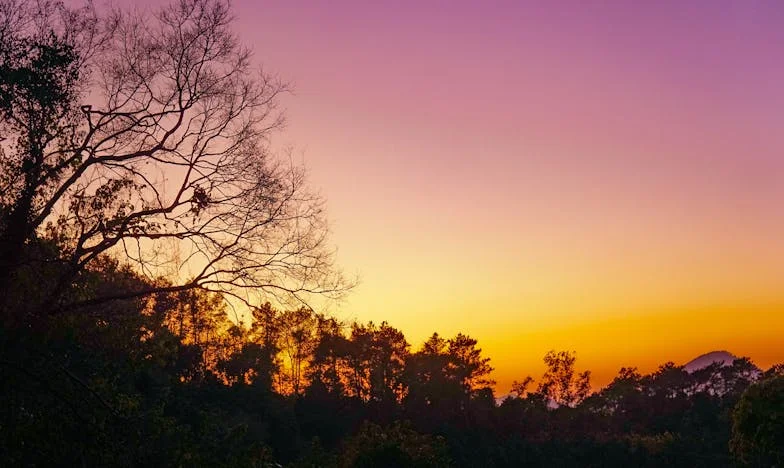 Quand Maman a Emménagé : Le Poids du Passé dans Notre Salon