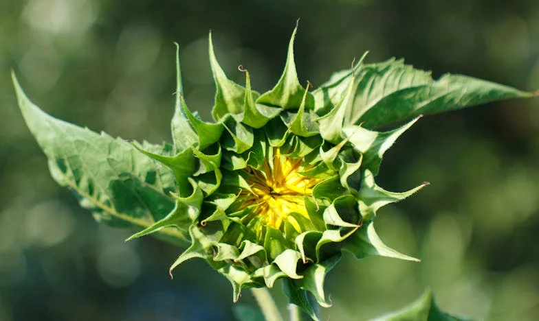 Quand mon mari a perdu son travail, sa mère a refusé de nous aider : aujourd’hui, c’est nous qui devons payer ses soins