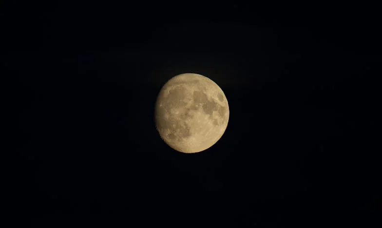 Quand on vous arrache vos petits-enfants : Le cri silencieux d’une grand-mère française