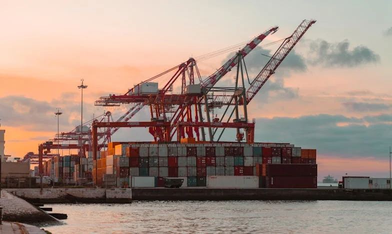 Renaître de la rue : Mon combat pour la dignité et la solidarité