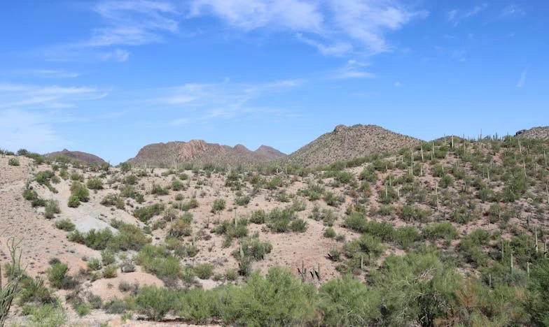 Retrouvailles à Montargis : Vingt-cinq ans après, l’amour ou l’illusion ?