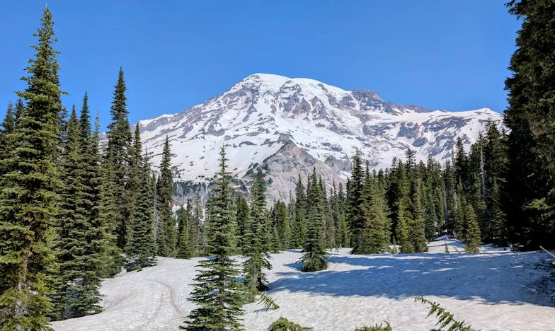Sous la surface : Rivalités, attentes et le poids du paraître