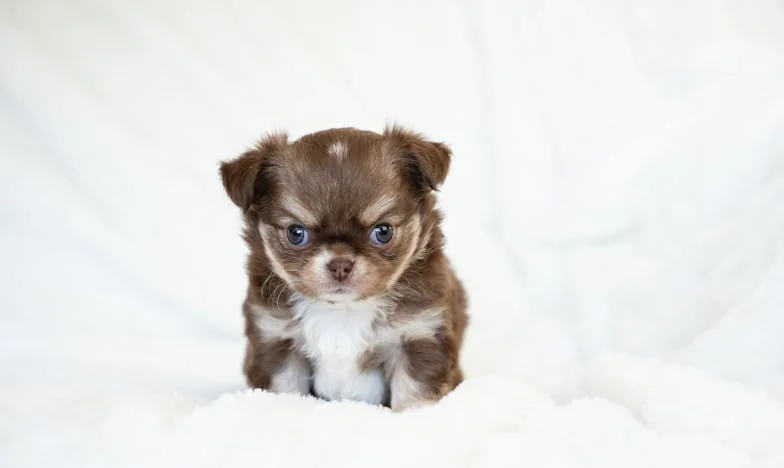 Sous le même toit, l’ombre d’un secret