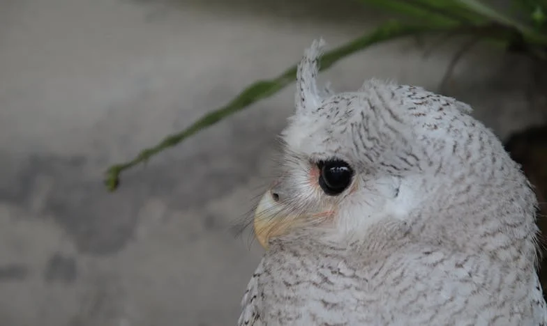 Sous le même toit : Ma belle-mère, la tempête de ma vie