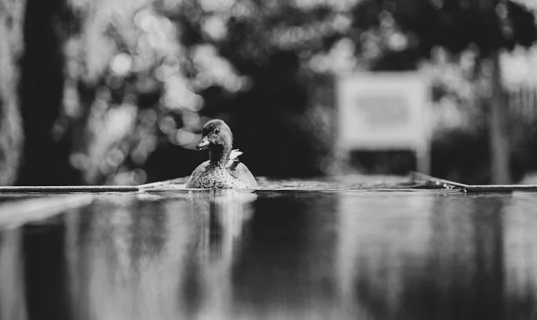 Sous le Poids du Jugement : Une Soirée, Une Vie