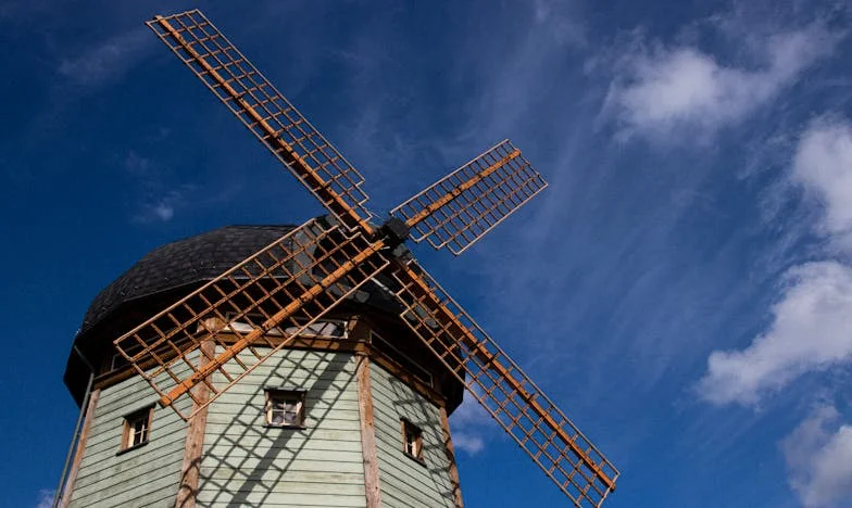 Sous l’emprise de Maman : Chronique d’une maison au bord de l’implosion
