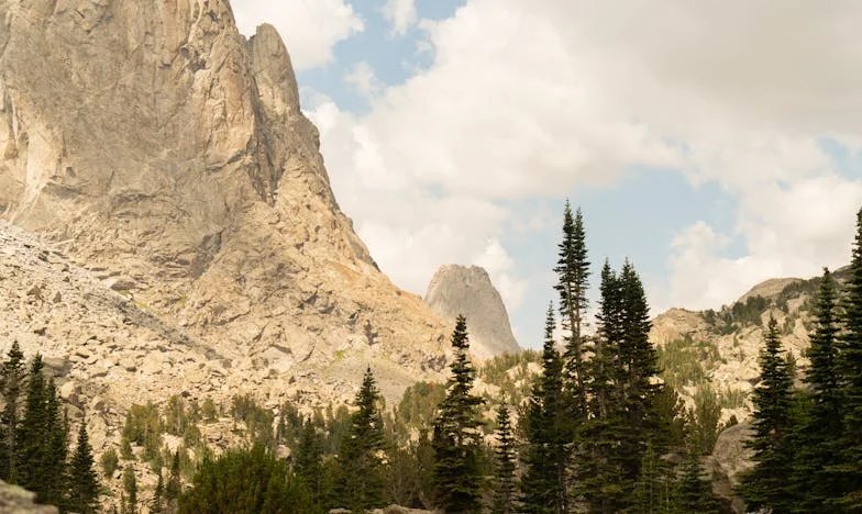 Comment un simple pot de crème a bouleversé ma vie : chronique d’une belle-famille en crise