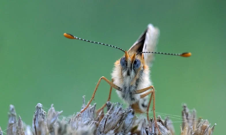 Deux berceaux, deux mères, un seul cœur épuisé : Mon histoire entre amour, famille et sacrifice