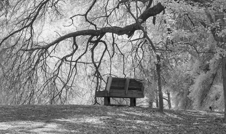 Entre la maison et la famille : Le choix qui m’a brisée et reconstruite