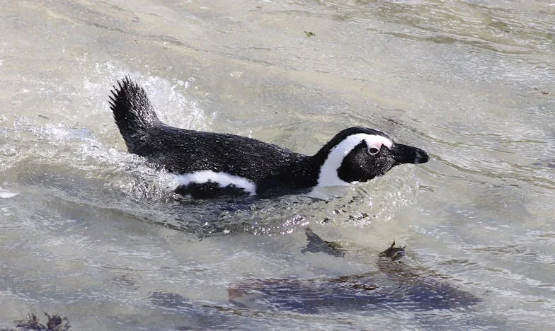 Huit ans de lait maternel : Mon choix, leur jugement