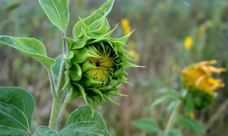 J'ai craqué devant toute ma famille : le jour où mon épuisement a brisé le silence