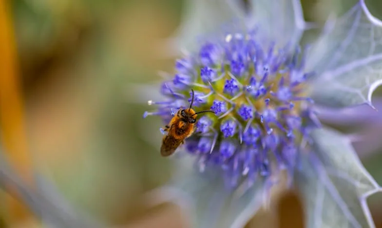 J'ai mis mon fils et ma belle-fille à la porte : Mère indigne ou enfin libérée ?