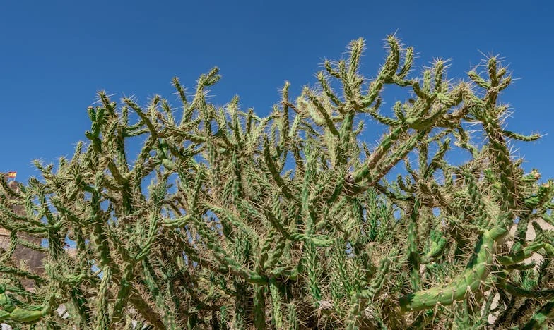 « Je n’ai pas besoin de ton avis. Ici, c’est la maison de mon frère, et tu n’es qu’une étrangère pour moi » : Le tumulte d’une famille française face à l’intrusion