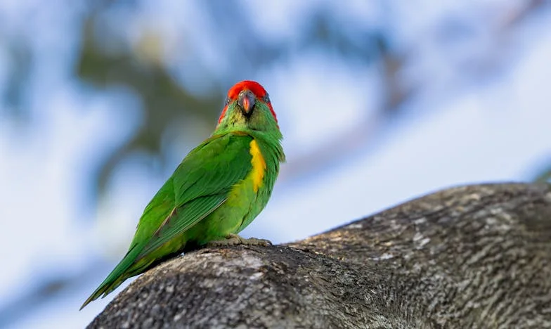 La cicatrice sous la lumière : souvenirs d’un été oublié