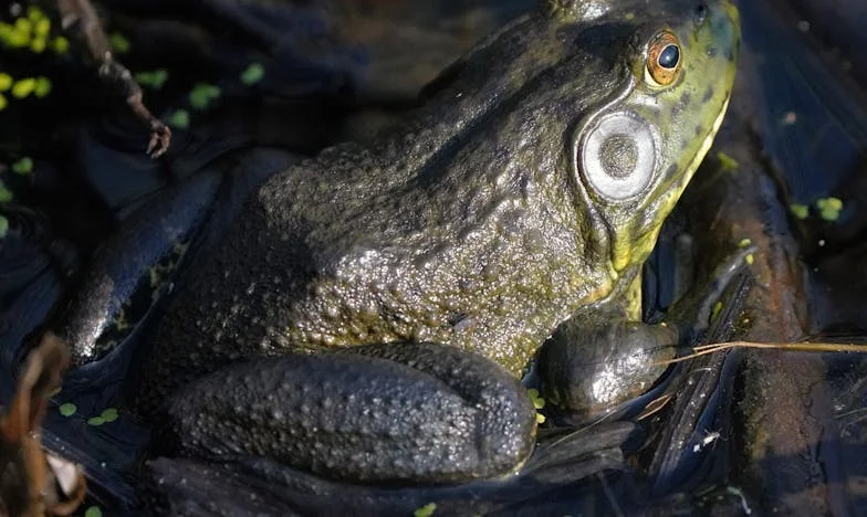 La nuit où tout a basculé : le secret de mon mari et la trahison de ma belle-mère