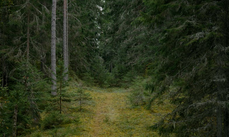 Larmes pour Camille : Quand l'amour maternel devient un fardeau