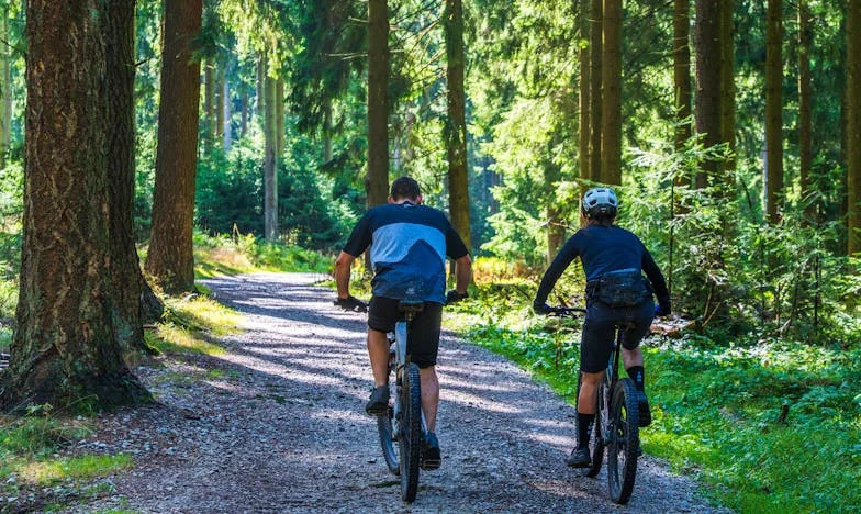Le silence des dimanches : Quand la famille se brise autour de la table