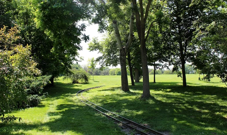 Le Silence des Racines : Mon Combat pour la Vérité