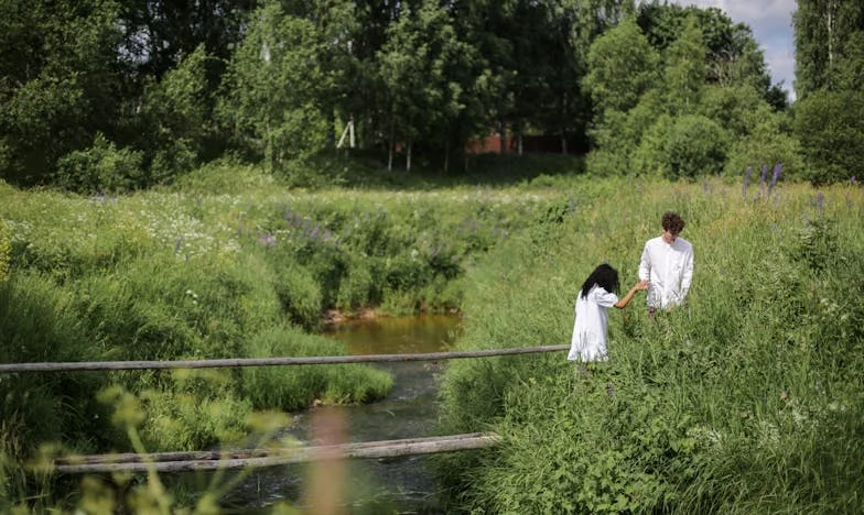 L’été où Camille a voulu la plus belle chambre : une leçon de famille