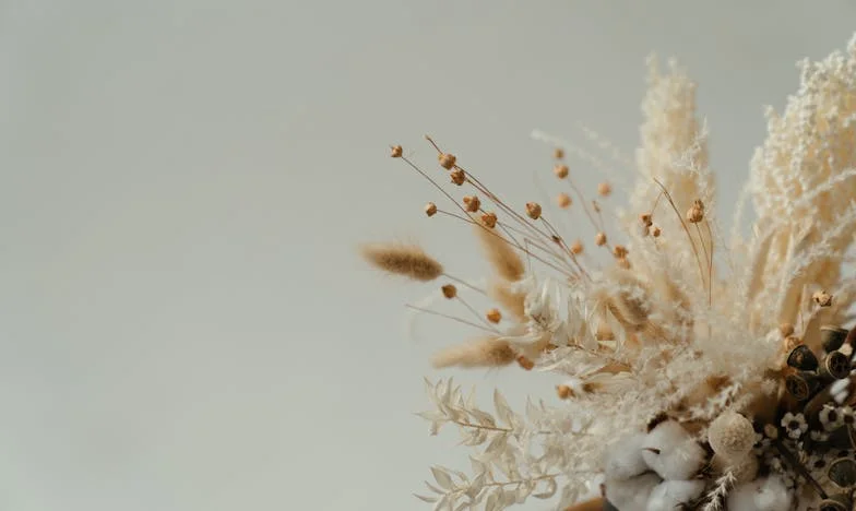 Ma belle-mère s’amuse, je m’épuise : Chronique d’une vie invisible