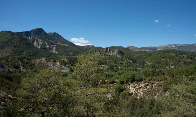 Mariage Secret à Lyon : Le Poids d’un Mensonge