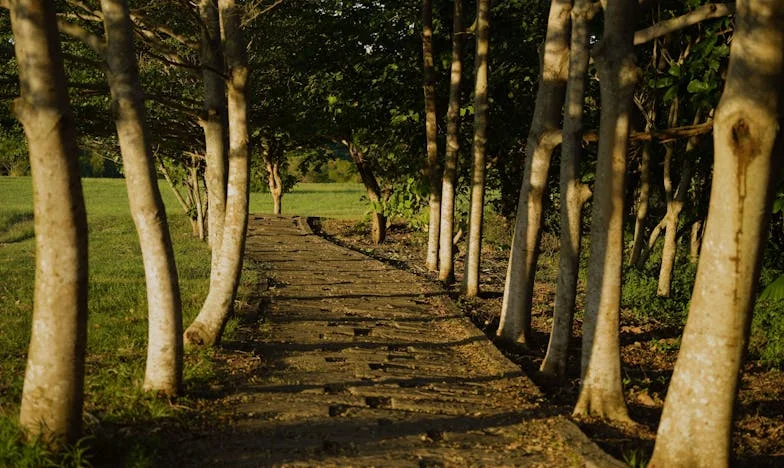 Quand j'ai dit : Assez ! – Comment j'ai choisi mon fils face à ses beaux-parents