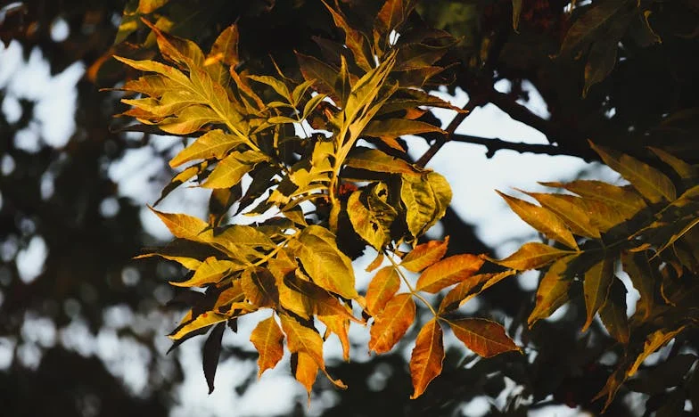 Quand la famille s'effondre : Le cri d'une grand-mère française