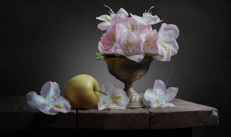 Quand l’automne apporte le printemps : Mon enfant inattendu à 47 ans