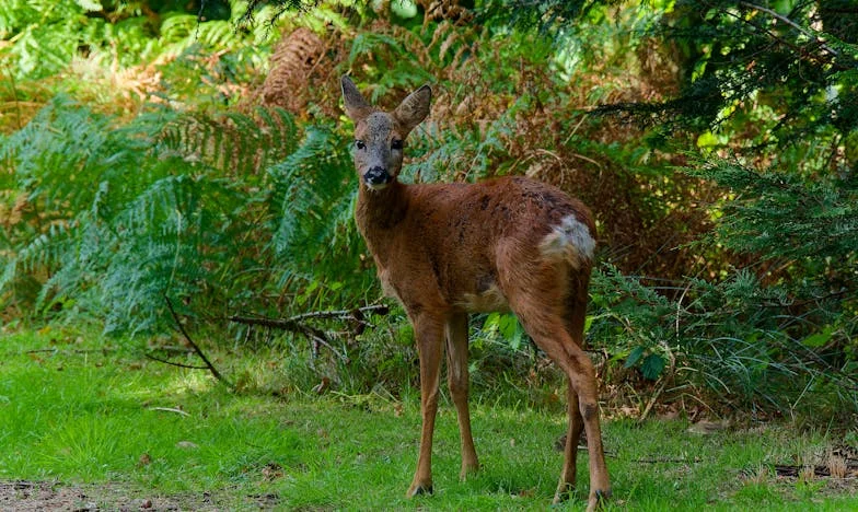 Quand Papa a claqué la porte : La nuit où tout a basculé
