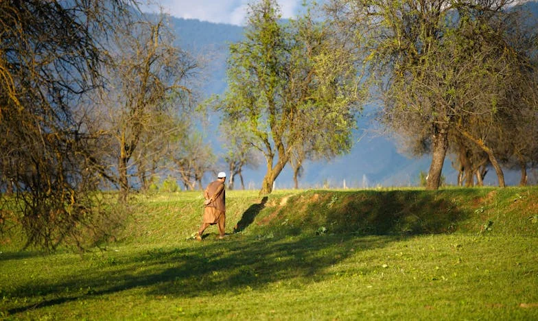 Quand Tout S'Effondre : Le Chemin Inattendu de Claire Dubois