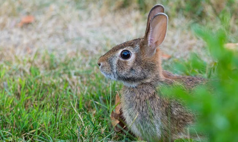 Sous le même toit, deux solitudes : Mon combat pour retrouver la lumière