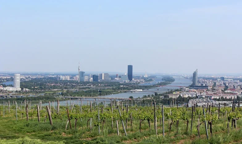 Sous le même toit : La quête de vérité d’Anaïs