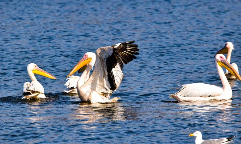 Trois enfants en un an : le chaos d'une mère seule à Lyon