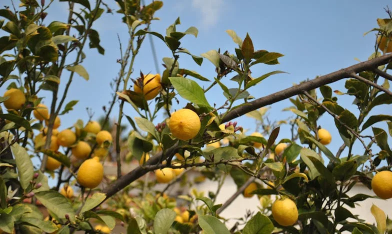 « Tu n’es plus notre fille » – Chronique d’une rupture familiale