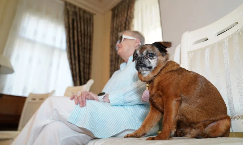 Un dîner, une vérité : la soirée qui a bouleversé ma vie