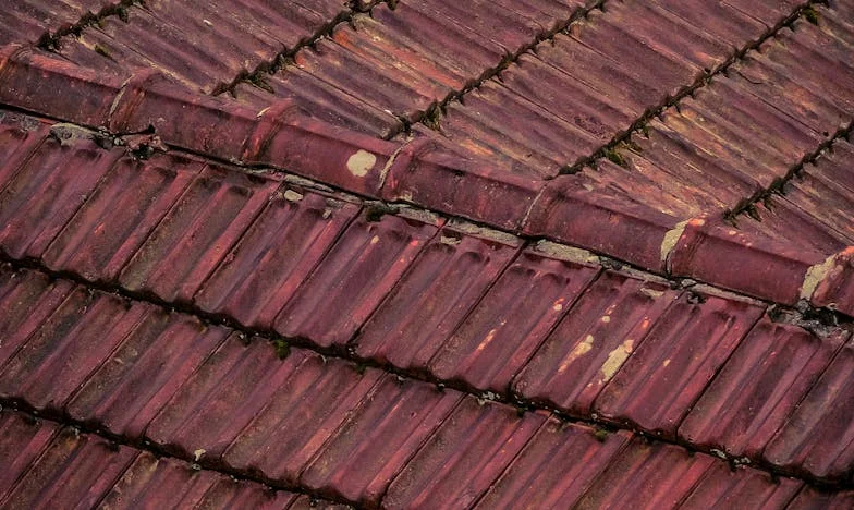 Dans les yeux de mon amie perdue