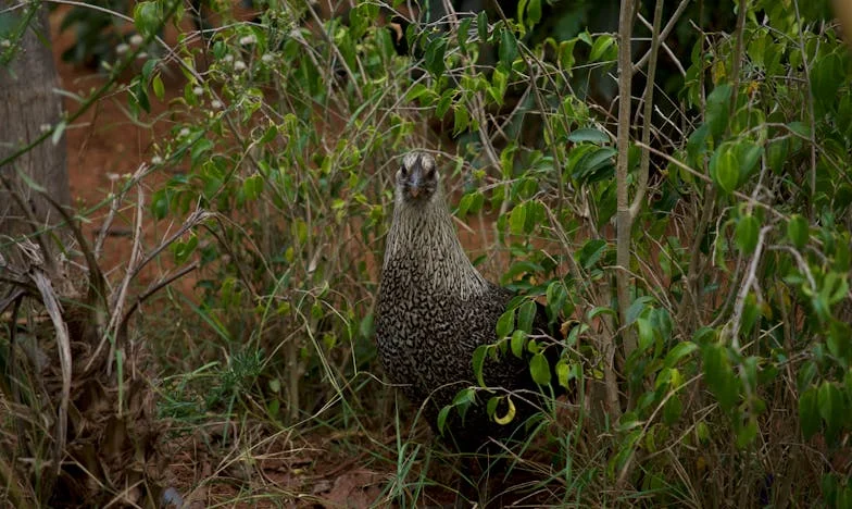 Dernier adieu : Quand le pardon devient une épreuve