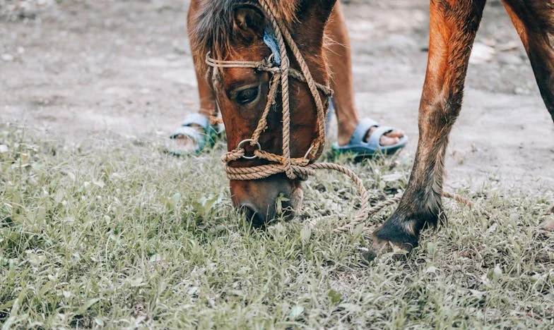 Elle a choisi son institut de beauté, j’ai choisi son fils : une histoire de famille recomposée