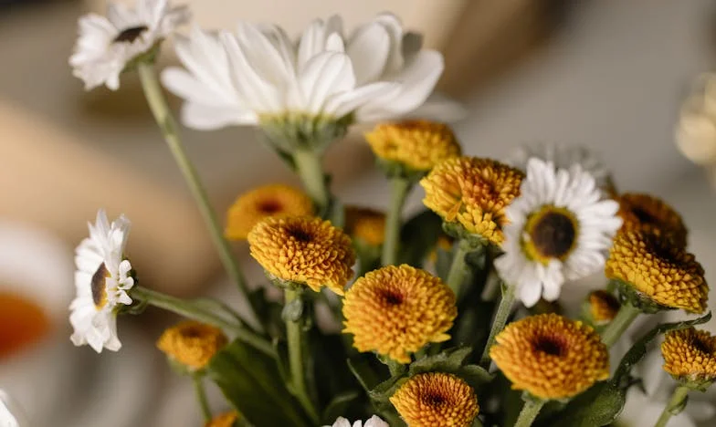 Entre Deux Feux : Mon Mari, Ma Sœur et le Prix de la Solidarité