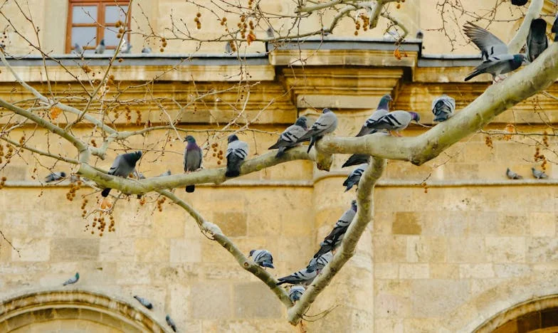 Entre la Foi et les Larmes : Mon Combat pour Maman