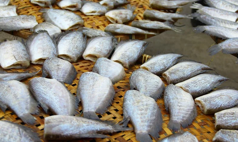 J'ai refusé de donner un rein à mon père : suis-je une mauvaise fille ?