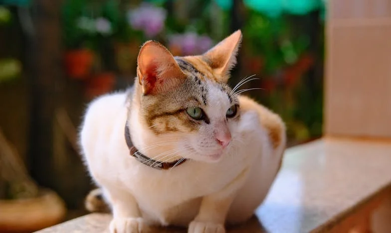 J’ai tout sacrifié pour ma fille, et aujourd’hui je dors dehors