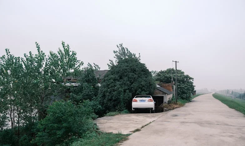 L'appartement qui ne m'a jamais appartenu : Chronique d'une trahison familiale