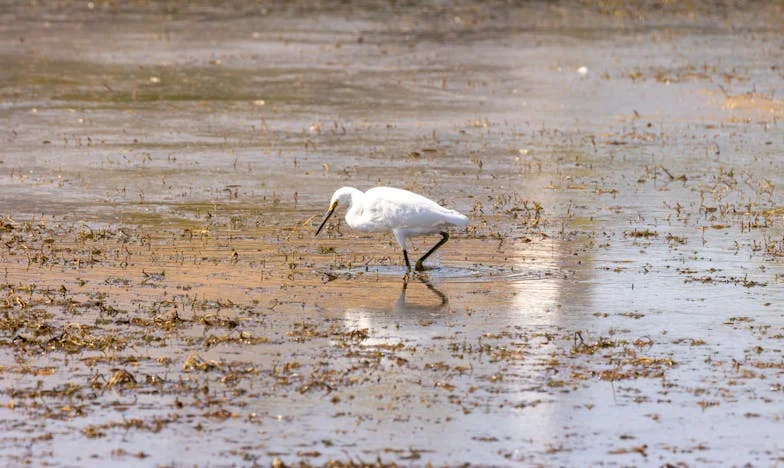 Le Mensonge de l’Huile : Le Jour Où Tout a Basculé