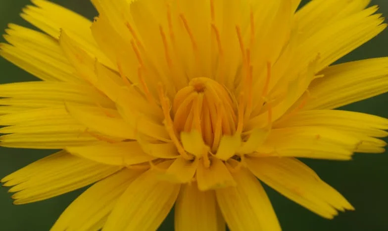 Le poids du foyer : l’histoire d’une liberté confisquée