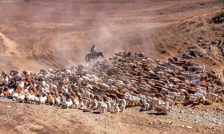 Le Portefeuille de mon Mari et ma Cage Dorée : Combat pour la Liberté dans un Mariage Figé