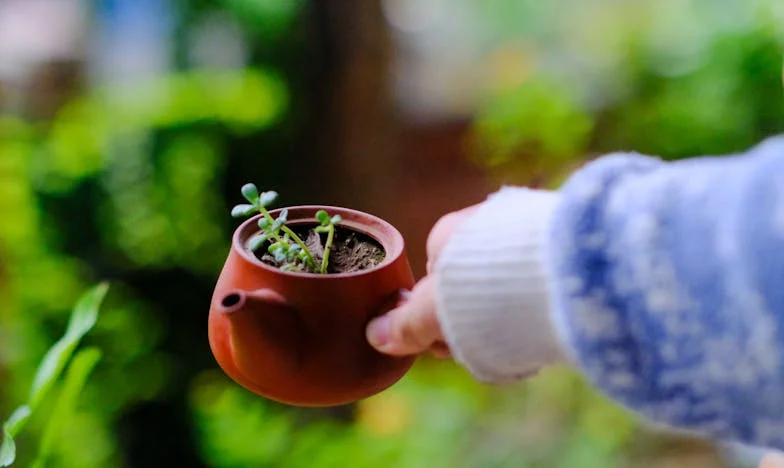 Le silence de la cave : Quand l'indifférence tue, l'attention sauve