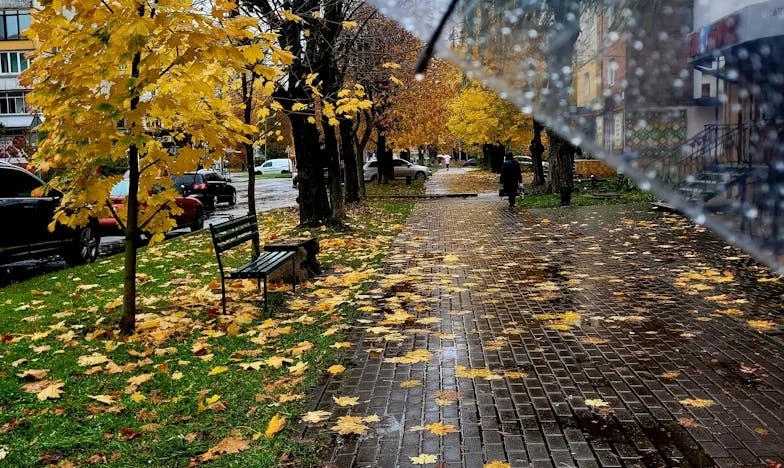 Le silence entre nous : une tasse de café, des années de non-dits