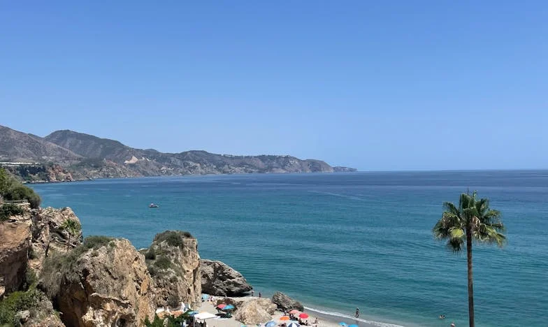 L'été qui a tout bouleversé : Chronique d'une famille française au bord de l'implosion