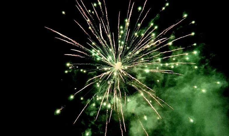 L’Intruse : Le jour où ma belle-mère a franchi la ligne